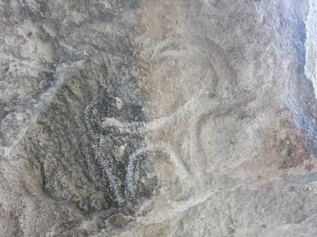 Cave carving of goat, Gobustand National Park 