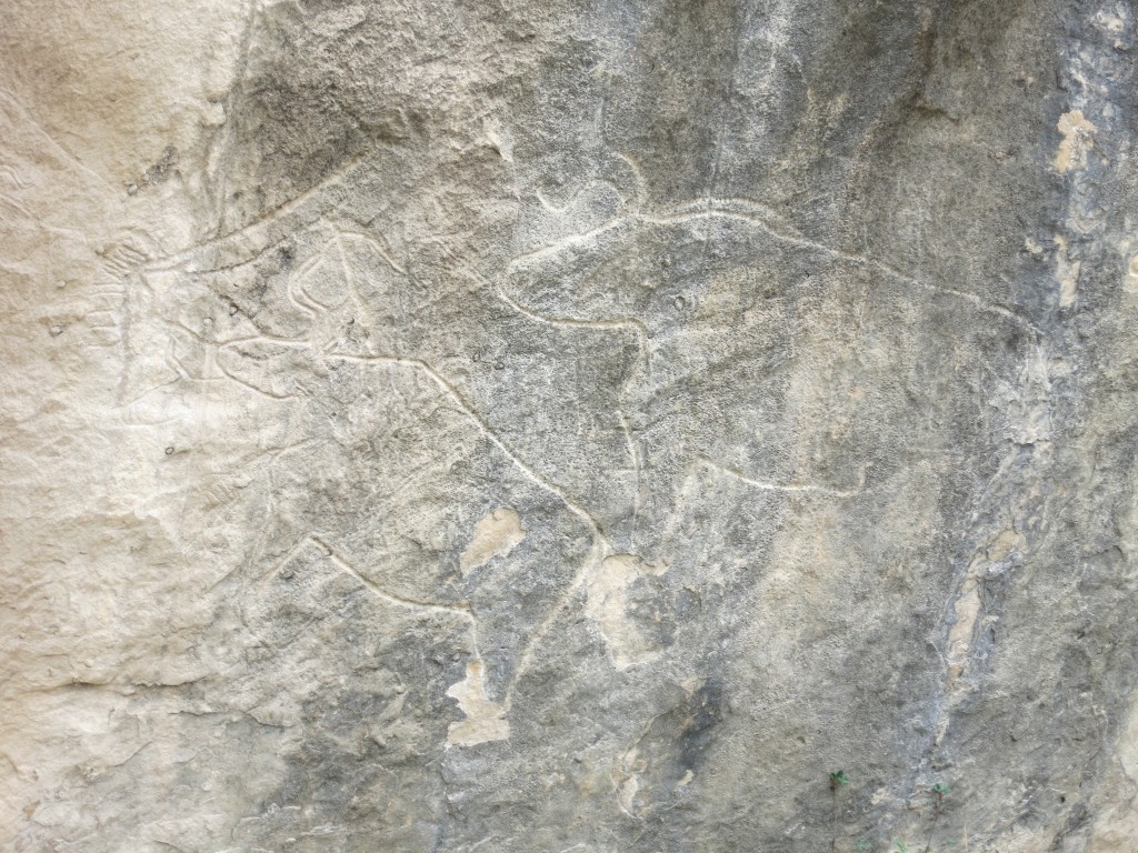 Cave carving of two bulls, Gobustand National Park 
