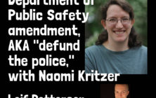 what does defund the police really ential?