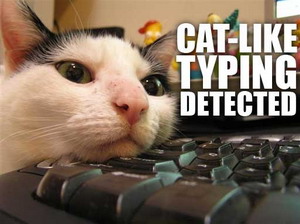 cat-typing